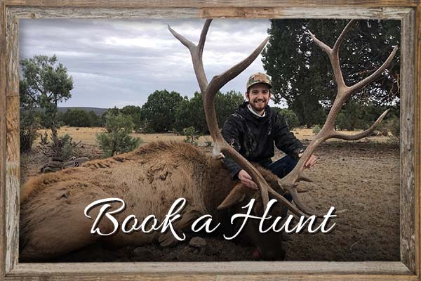 Book A Hunt With K9 Country Outfitters