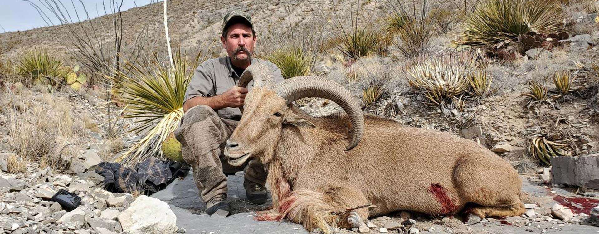 Aoudad Hunts in New Mexico