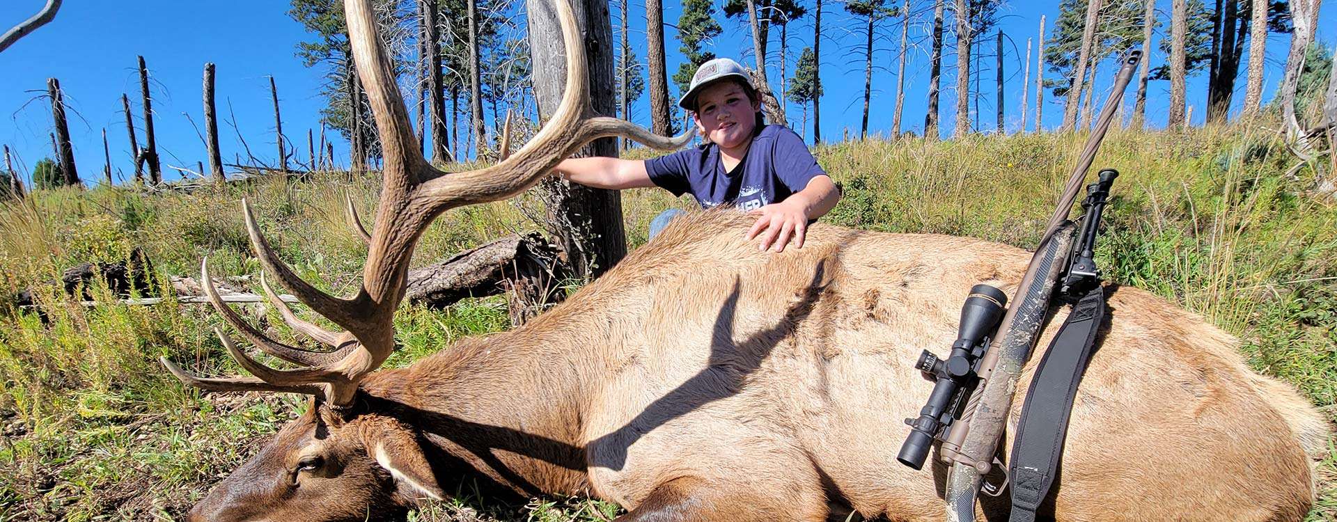 Guided Elk Hunts in New Mexico