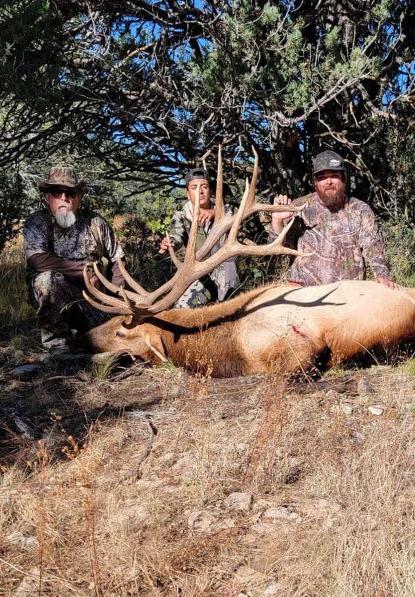 Elk Hunting Guides in New Mexico