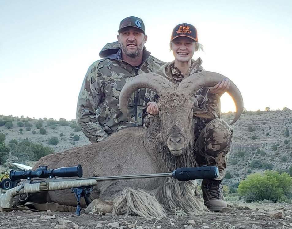 Aoudad Hunts