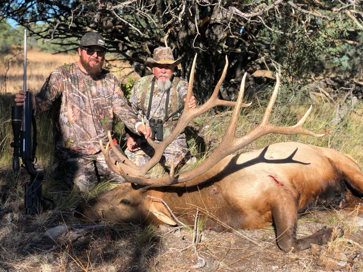 New Mexico Elk Hunts 2025 - Ailis Carroll