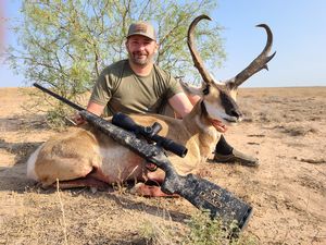 Pronghorn