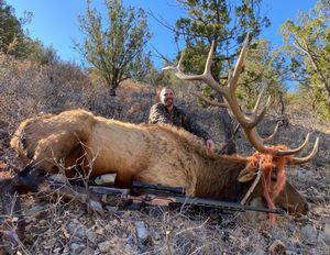 Elk